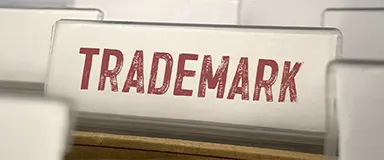 When to File: The Optimal Timing for Trademark Applications